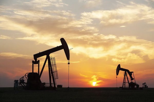 实配网配资 8个主要产油国决定